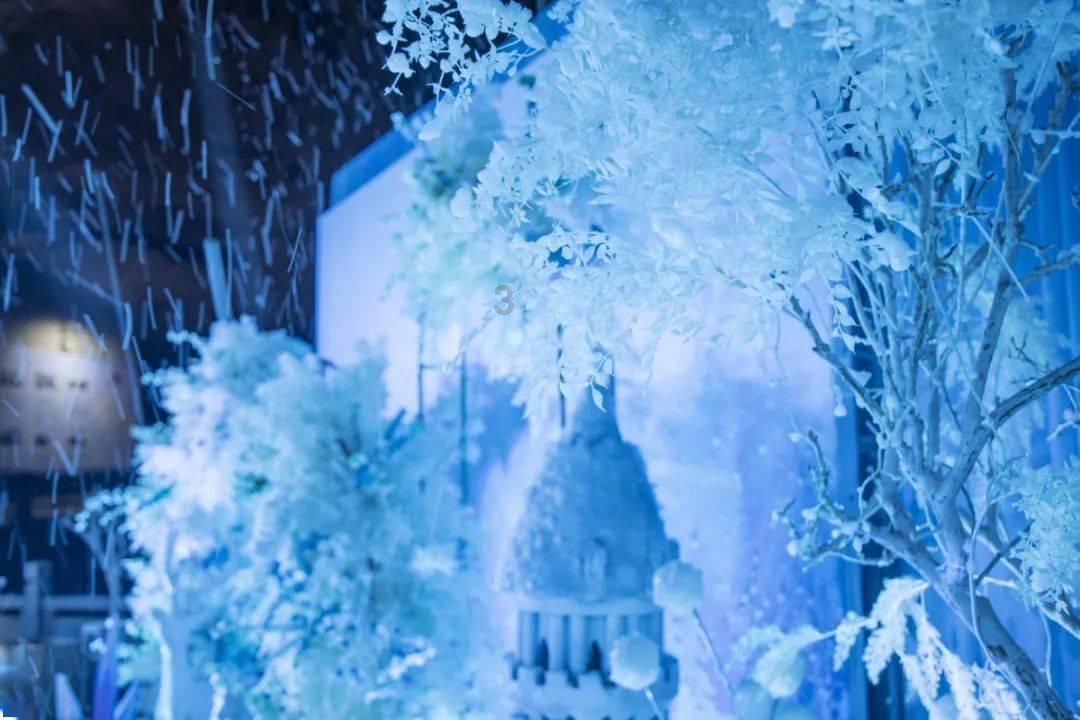 创作猫