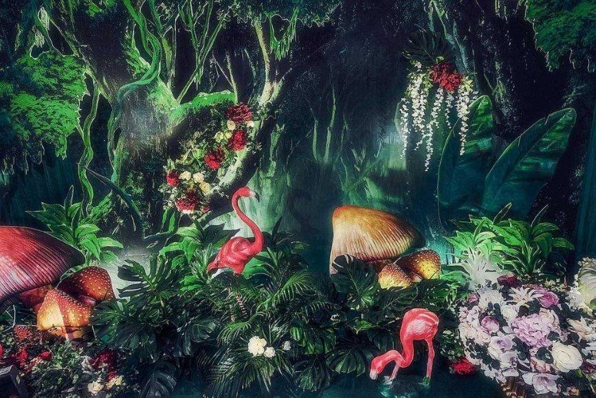 植物凤眼蓝是长什么样子的?知答网-专注知识问答