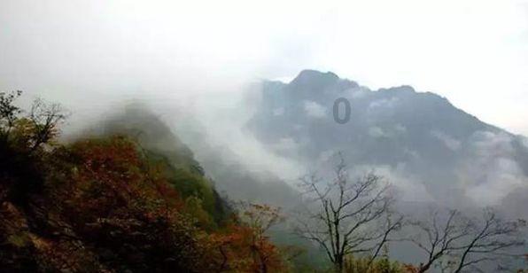 必不能错过的年夜饭菜谱，一看就会，还不抓紧码住？