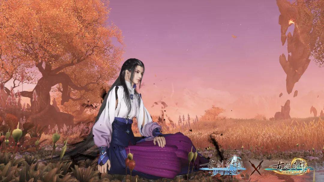 动物帮帮忙保卫家园