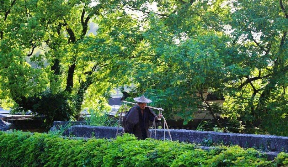 奈飞期权聚焦：1月23日成交32.56万张，未平仓合约59.18万张
