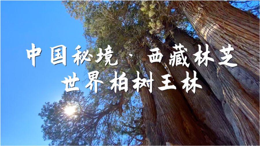 高速公路上人货混装危险！