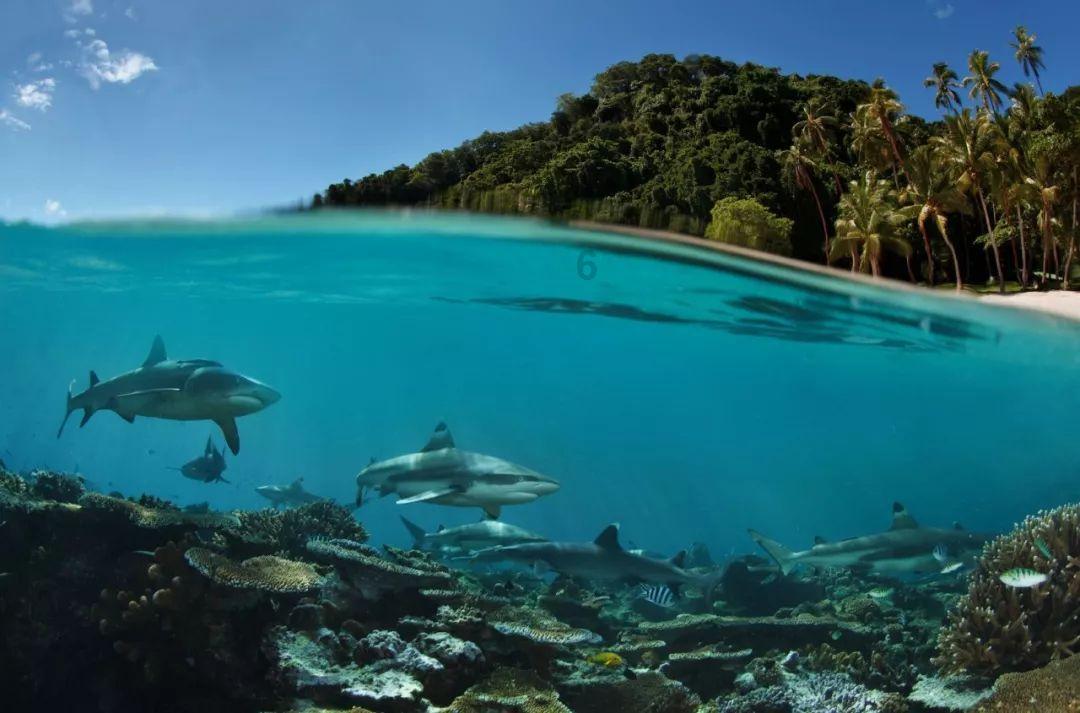 海盗的寻宝之旅