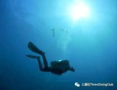 成都一男子杀死妻子一家三口后自杀，此次悲剧发生的主要原因是什么？游戏画面