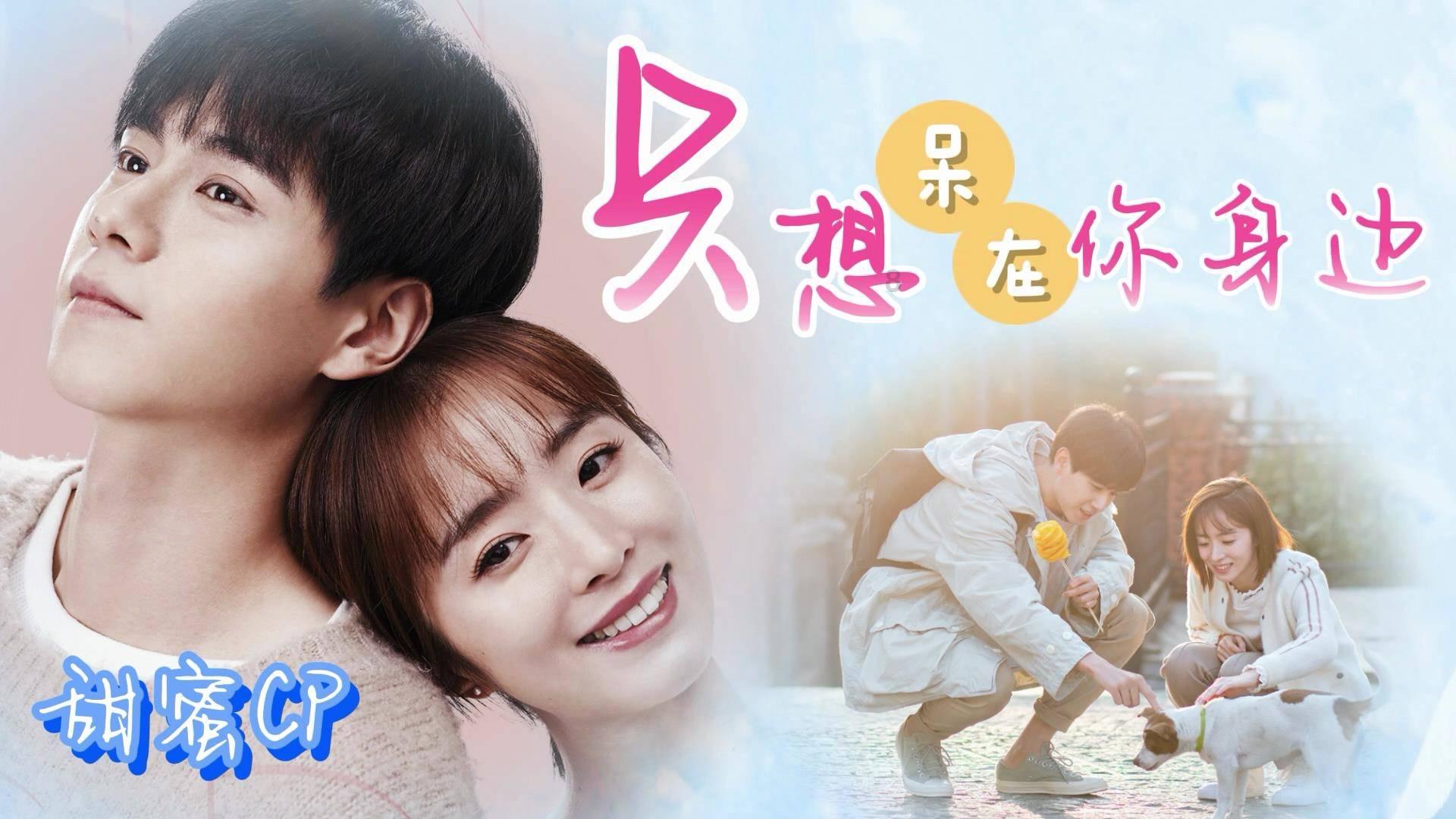新华全媒+|安徽:湿地为迁徙候鸟提供“生态驿站”