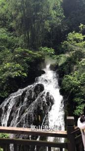 全民烧脑3去广告版