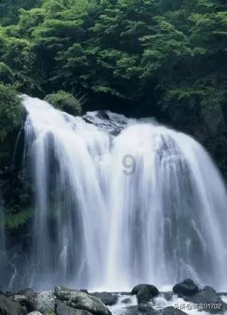 林徽因不为人知的另一面性格急躁,吵架会用3种语言从不落下风