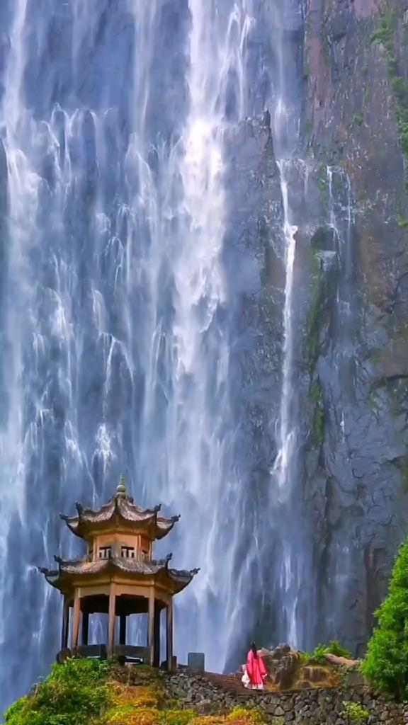 拯救落难小鸟