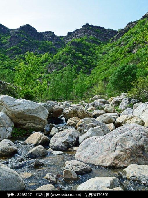 虫虫助手下载