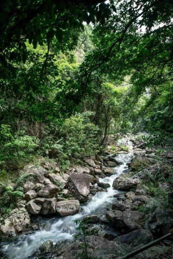 小猫钓鱼开船版最新版下载