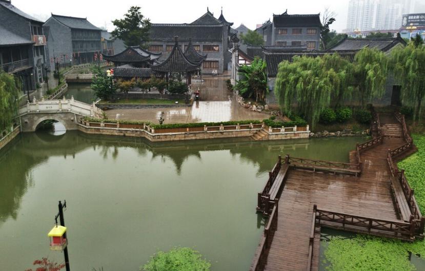 多汗症：理解、应对与生活影响