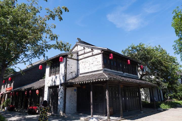 救援可爱小松鼠