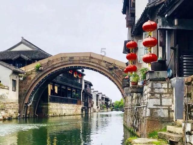 动物帮帮忙保卫家园